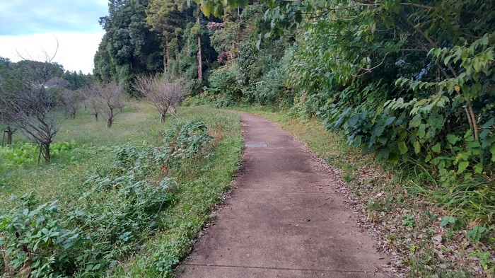 続く遊歩道