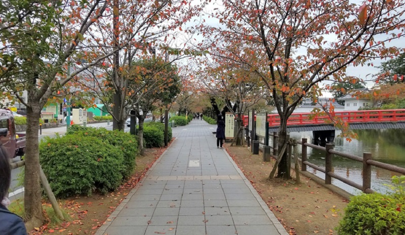 小田原城本通り